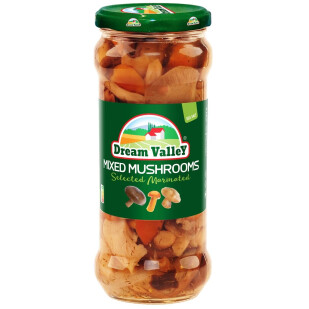 Ассорти грибное Dream Valley, 580мл (4820086920773)